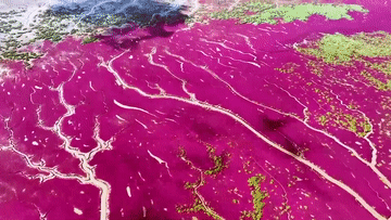 
杭州市富阳中医骨伤医院黄牛代挂号电话票贩子号贩子网上预约挂号,住院检查加快,秋日赏美景：红枫叶 红海滩