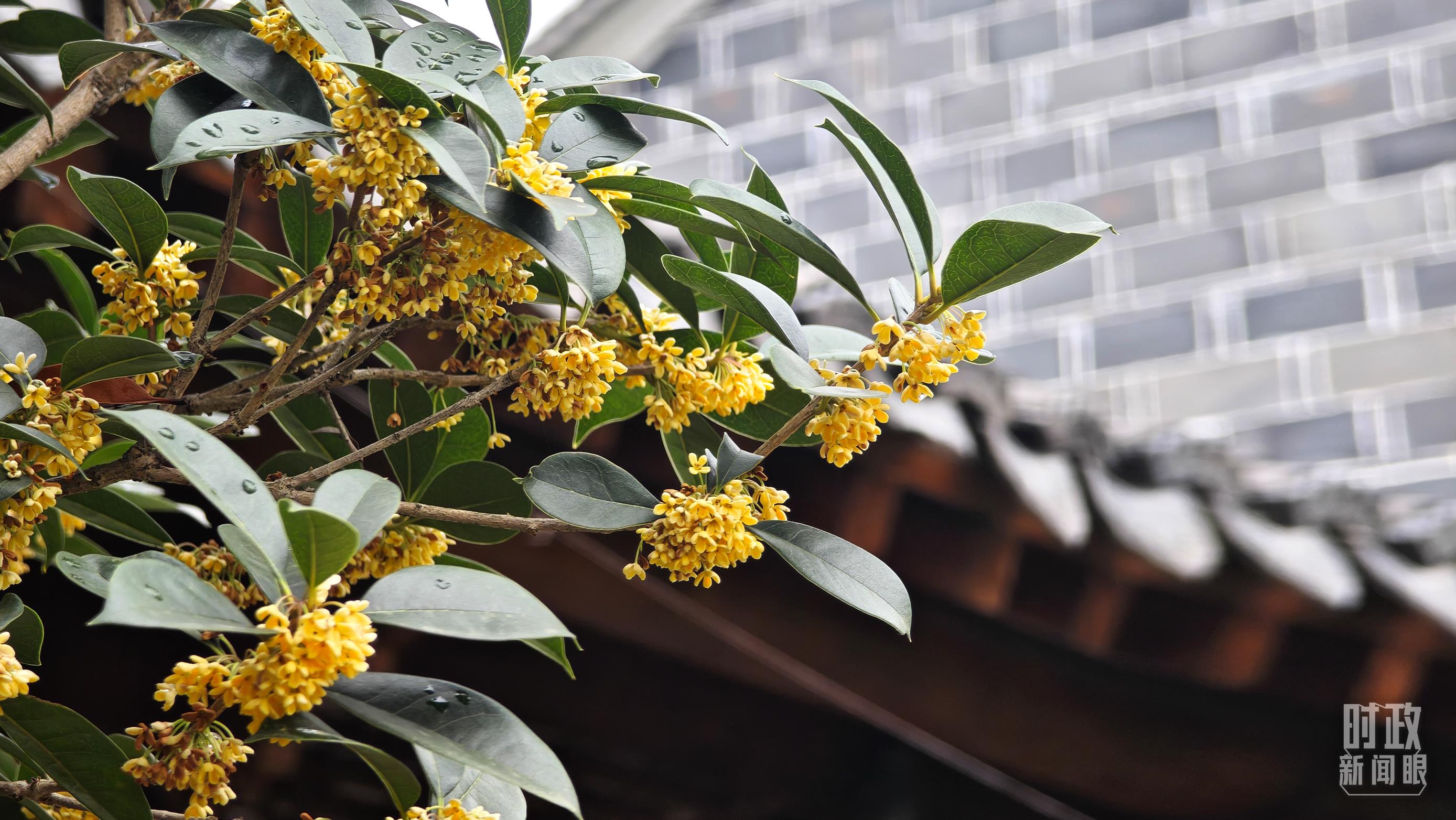 
天津肿瘤医院黄牛代挂号电话票贩子号贩子网上预约挂号,住院检查加快,时政新闻眼丨第三次赴安徽考察，习近平为何强调发挥这一优势？