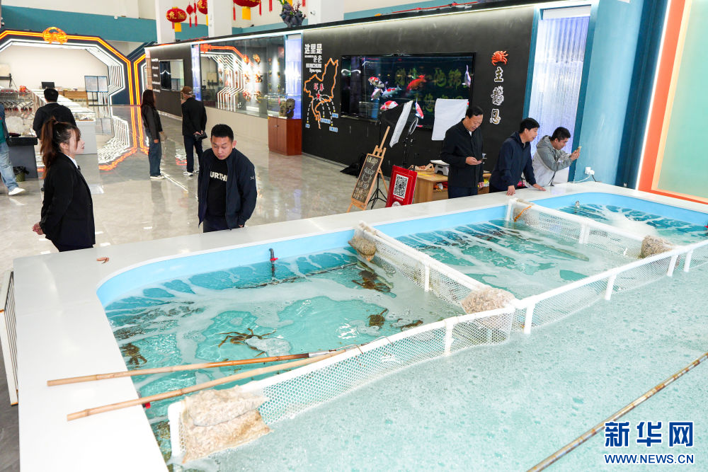 
杭州市富阳中医骨伤医院黄牛代挂号电话票贩子号贩子网上预约挂号,住院检查加快,镜头连中外·第66辑 | 来自远洋的味道