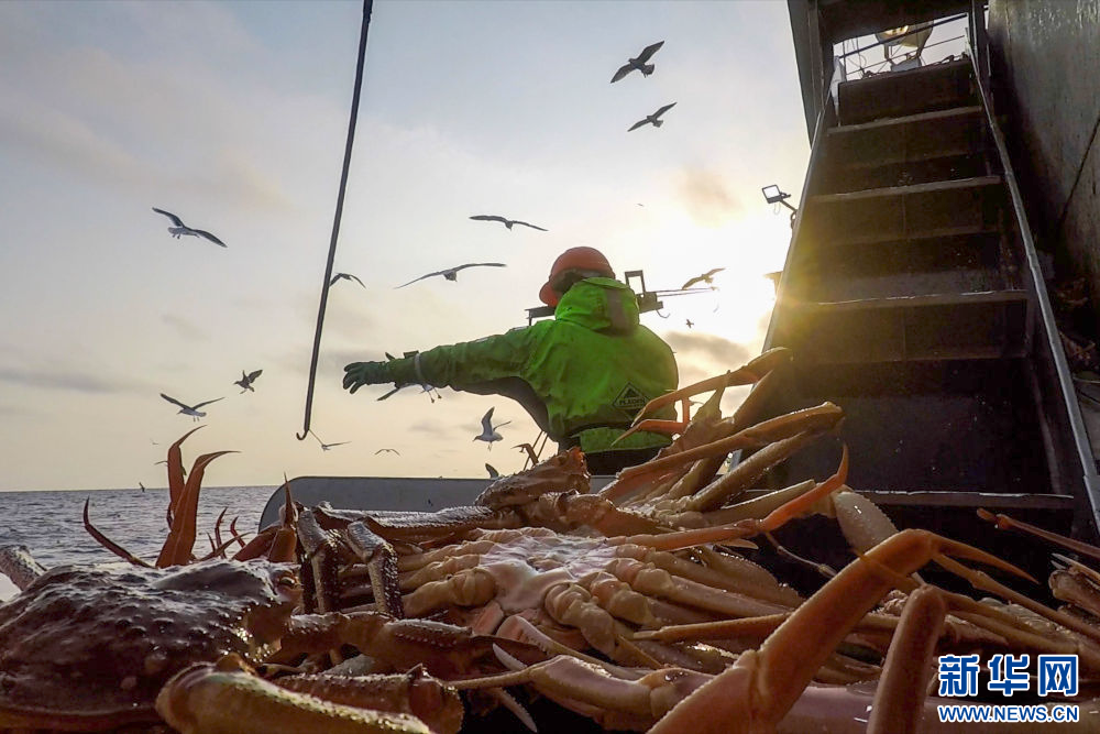 
杭州市富阳中医骨伤医院黄牛代挂号电话票贩子号贩子网上预约挂号,住院检查加快,镜头连中外·第66辑 | 来自远洋的味道