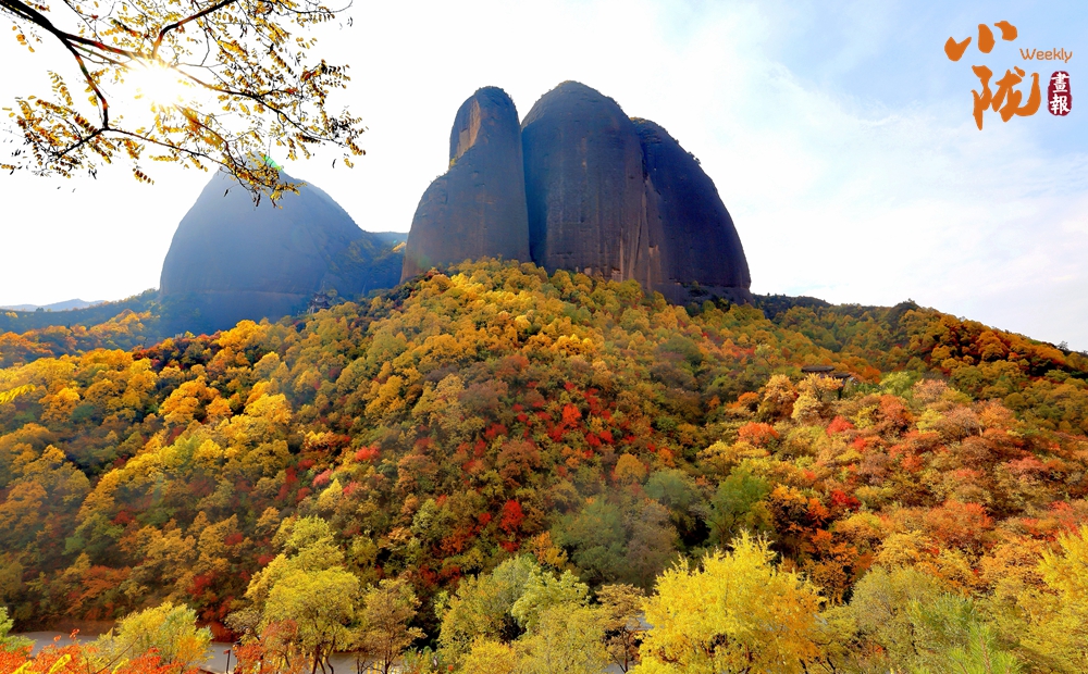 
北京中医药大学东直门医院黄牛代挂号电话票贩子号贩子网上预约挂号,住院检查加快,【小陇画报·308期】武山水帘洞石窟：丹霞地貌中的石窟艺术瑰宝