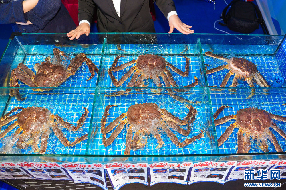 
杭州市富阳中医骨伤医院黄牛代挂号电话票贩子号贩子网上预约挂号,住院检查加快,镜头连中外·第66辑 | 来自远洋的味道