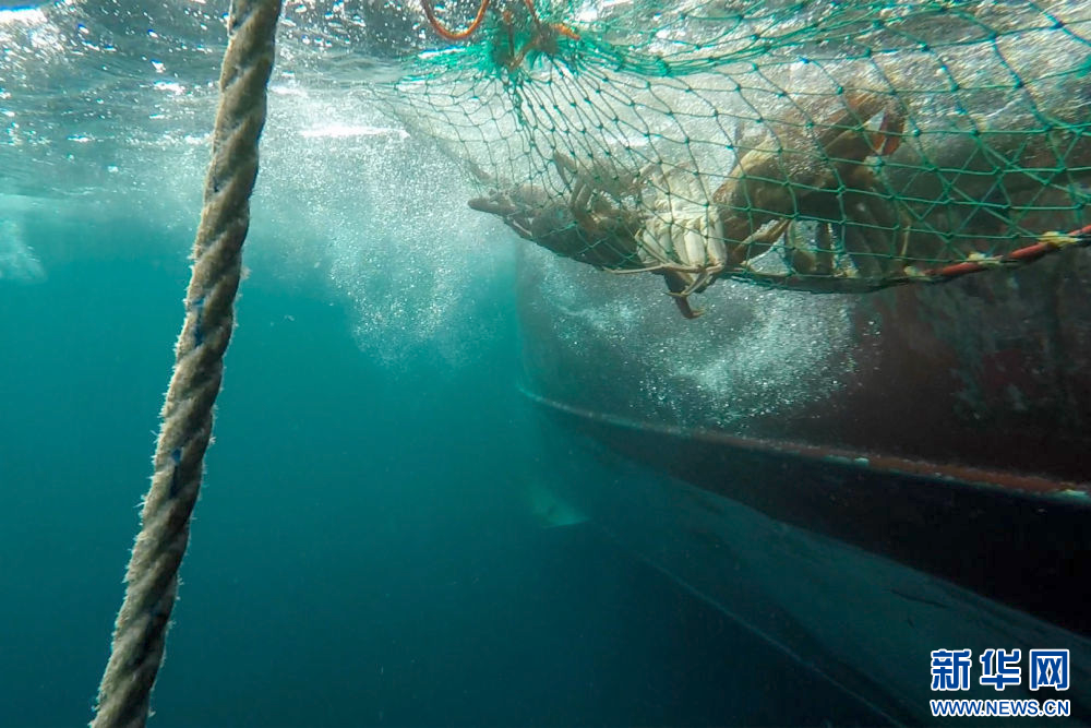 
杭州市富阳中医骨伤医院黄牛代挂号电话票贩子号贩子网上预约挂号,住院检查加快,镜头连中外·第66辑 | 来自远洋的味道