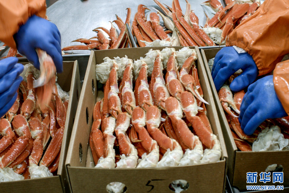 
杭州市富阳中医骨伤医院黄牛代挂号电话票贩子号贩子网上预约挂号,住院检查加快,镜头连中外·第66辑 | 来自远洋的味道