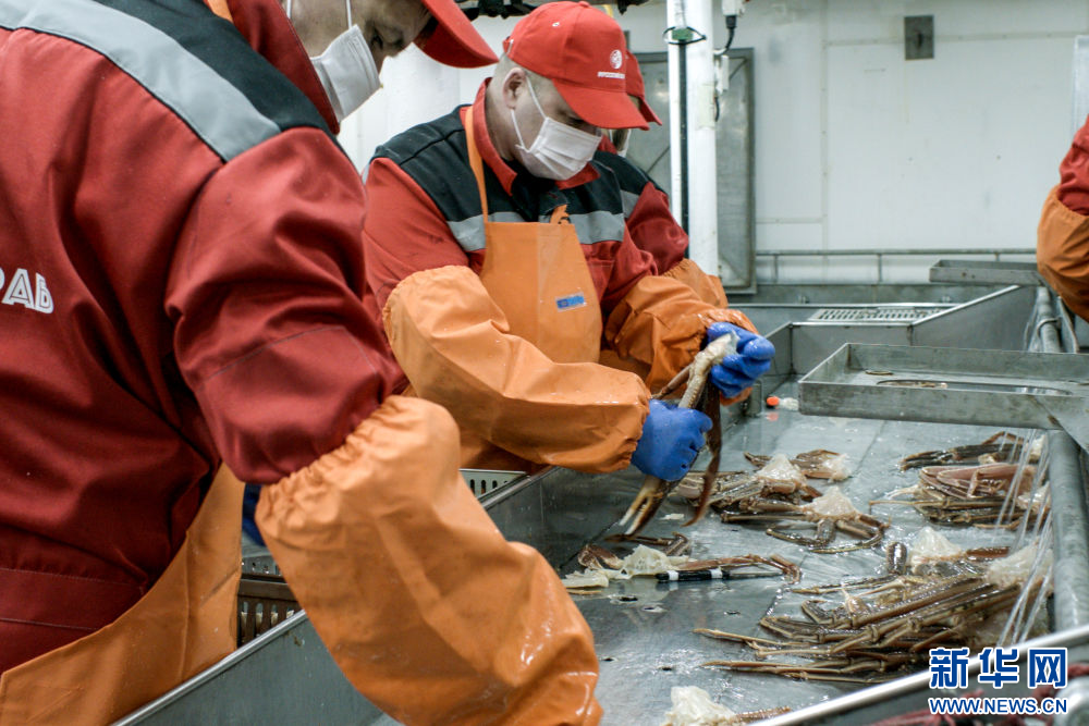 
杭州市富阳中医骨伤医院黄牛代挂号电话票贩子号贩子网上预约挂号,住院检查加快,镜头连中外·第66辑 | 来自远洋的味道