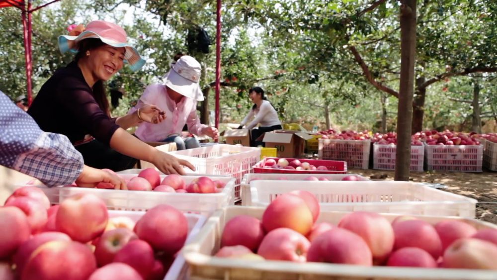 
上海肿瘤医院黄牛代挂号电话票贩子号贩子网上预约挂号,住院检查加快,政论片｜伟大征程