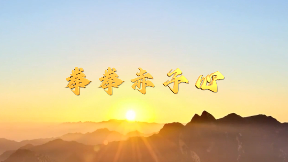 
浙江省人民医院黄牛代挂号电话票贩子号贩子网上预约挂号,住院检查加快,清澈的爱 只为中国｜拳拳赤子心