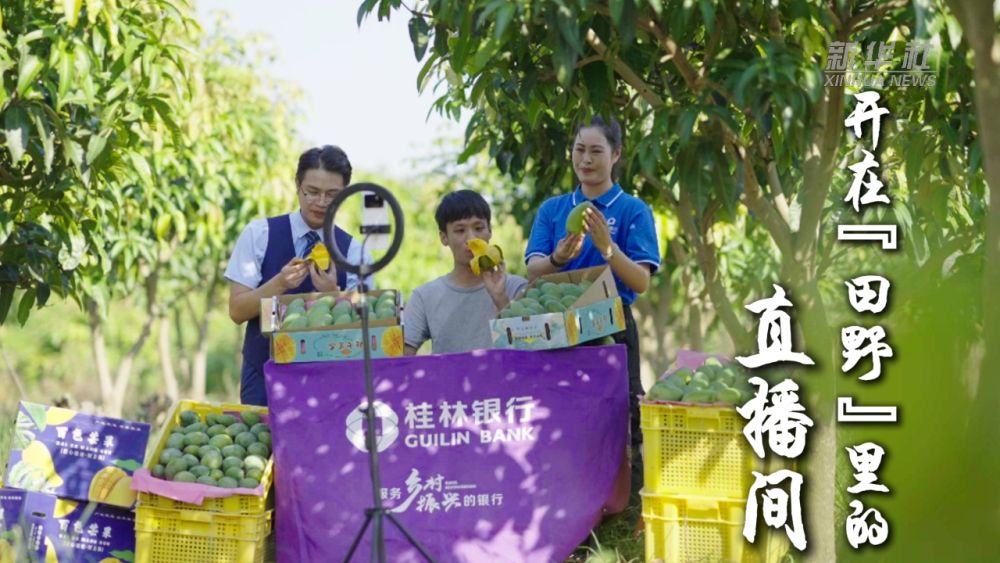 
回龙观医院黄牛代挂号电话票贩子号贩子网上预约挂号,住院检查加快,金融“大文章”里的新门道