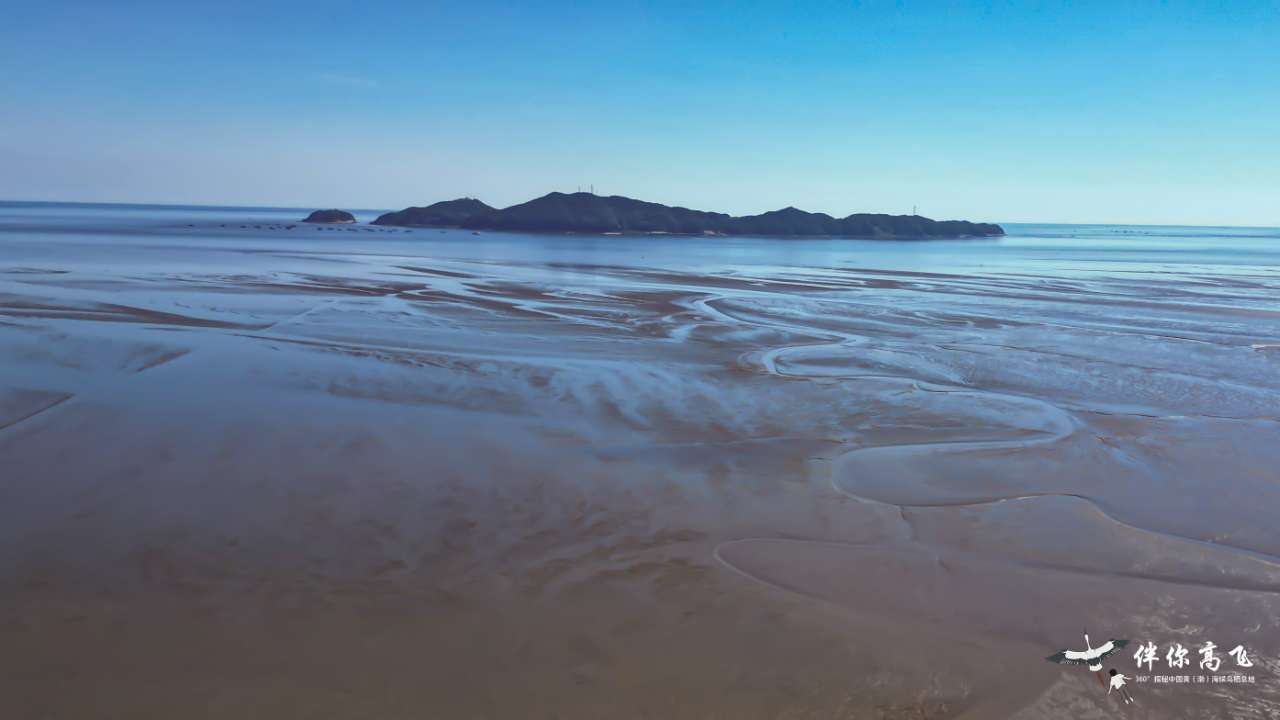 
北大第一医院黄牛代挂号电话票贩子号贩子网上预约挂号,住院检查加快,候鸟翔集辽宁丹东鸭绿江口