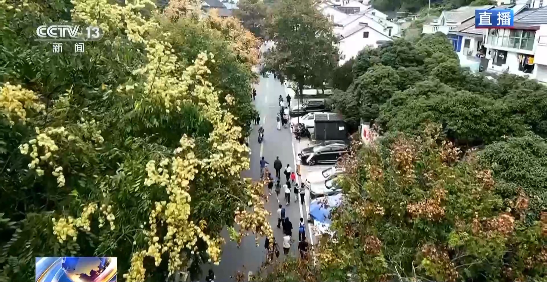 
上海儿科医院黄牛代挂号电话票贩子号贩子网上预约挂号,住院检查加快,“捡秋”有了新花样~ 来收藏秋日限定小美好吧