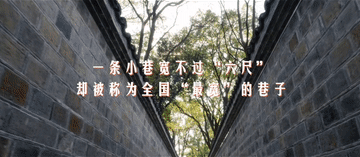 
浙江口腔医院黄牛代挂号电话票贩子号贩子网上预约挂号,住院检查加快,跟着总书记的考察足迹｜瞰桐城