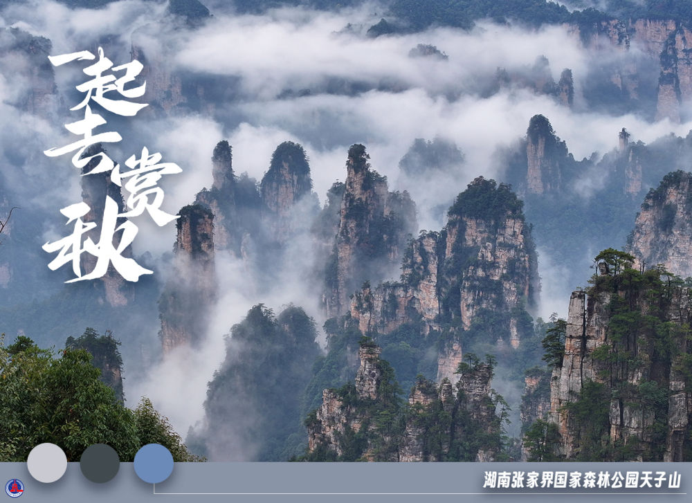 
北京广安门中医院黄牛代挂号电话票贩子号贩子网上预约挂号,住院检查加快,美丽中国｜一起去赏秋
