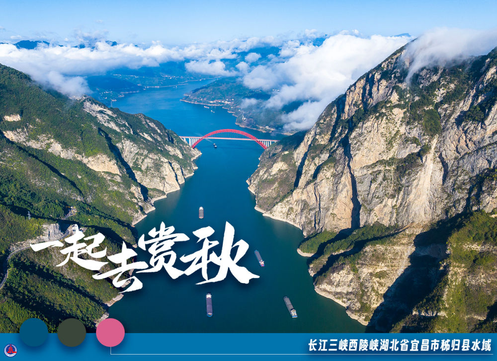 
北京广安门中医院黄牛代挂号电话票贩子号贩子网上预约挂号,住院检查加快,美丽中国｜一起去赏秋