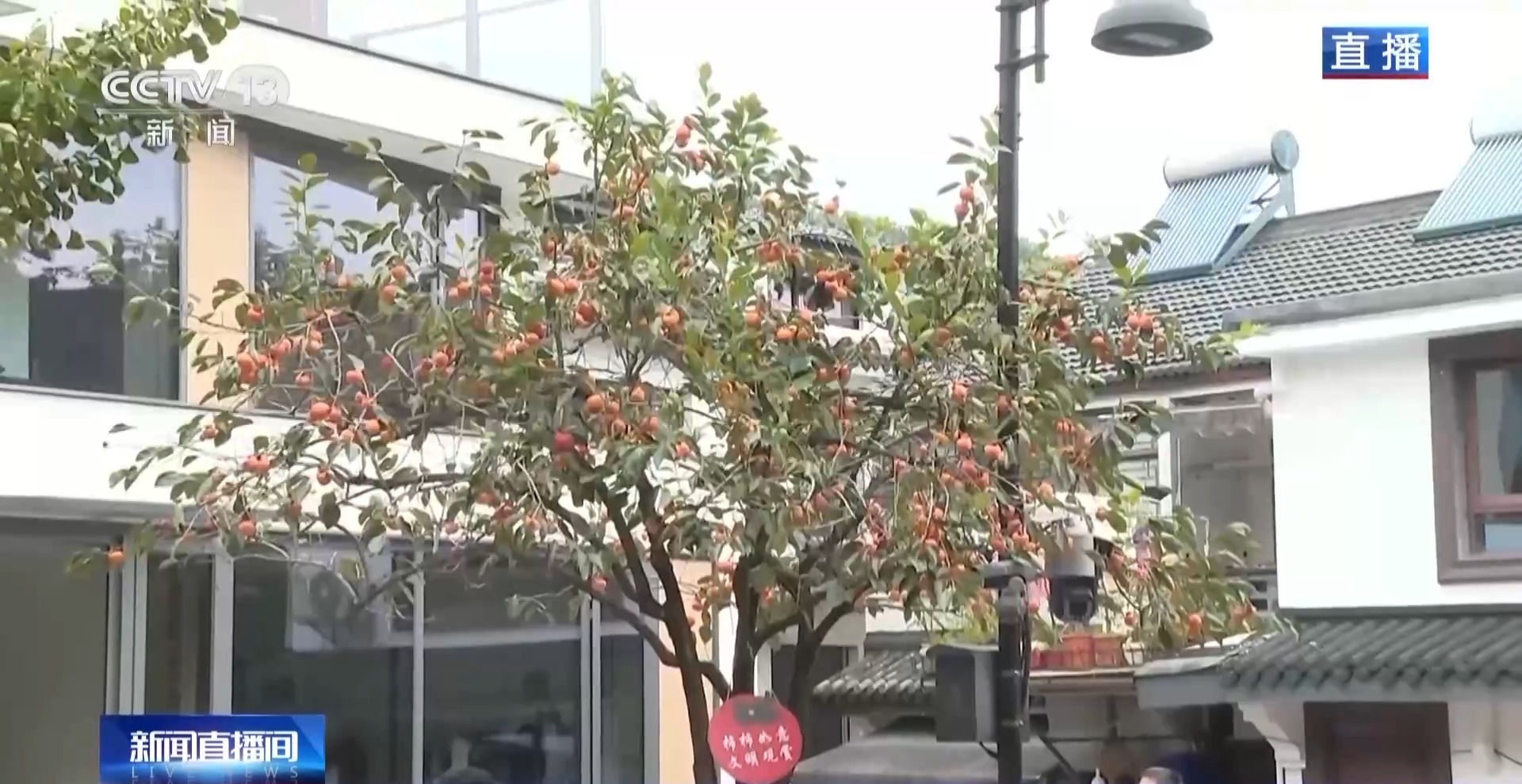 
上海儿科医院黄牛代挂号电话票贩子号贩子网上预约挂号,住院检查加快,“捡秋”有了新花样~ 来收藏秋日限定小美好吧