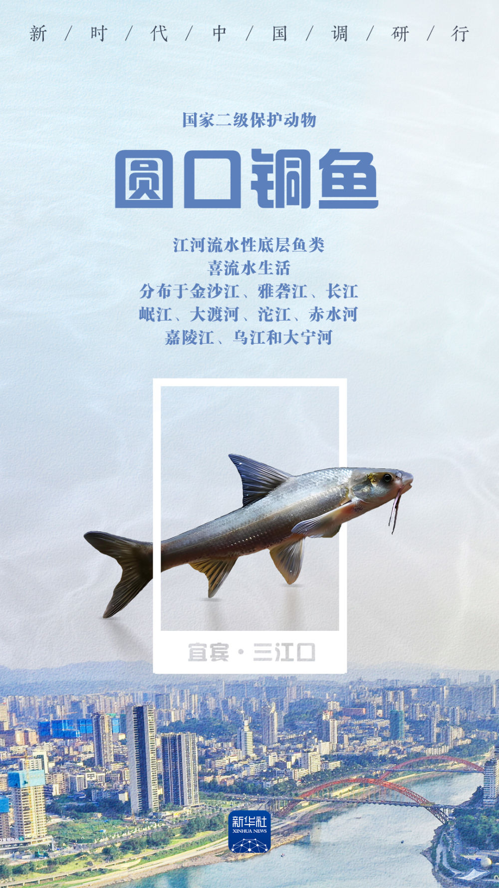 
广州儿童医院黄牛代挂号电话票贩子号贩子网上预约挂号,住院检查加快,新时代中国调研行之看区域·西部篇｜唤鱼观鸟 在三江口畅享生态之美
