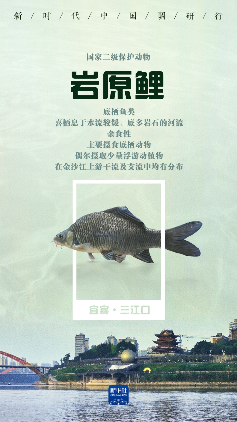 
广州儿童医院黄牛代挂号电话票贩子号贩子网上预约挂号,住院检查加快,新时代中国调研行之看区域·西部篇｜唤鱼观鸟 在三江口畅享生态之美