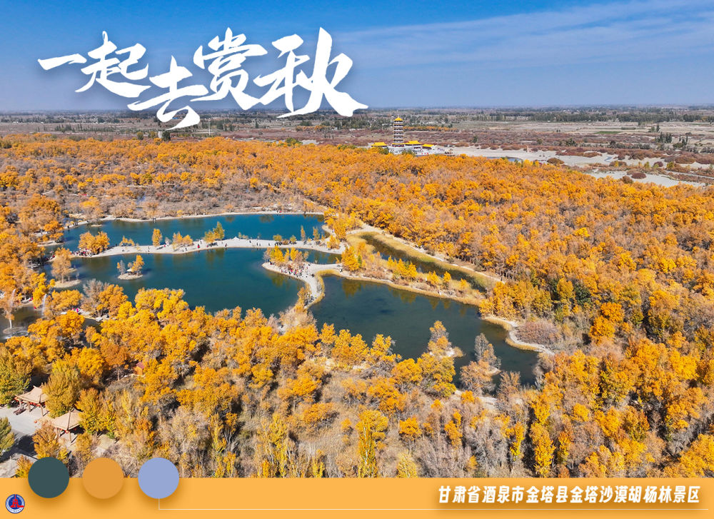 
北京广安门中医院黄牛代挂号电话票贩子号贩子网上预约挂号,住院检查加快,美丽中国｜一起去赏秋