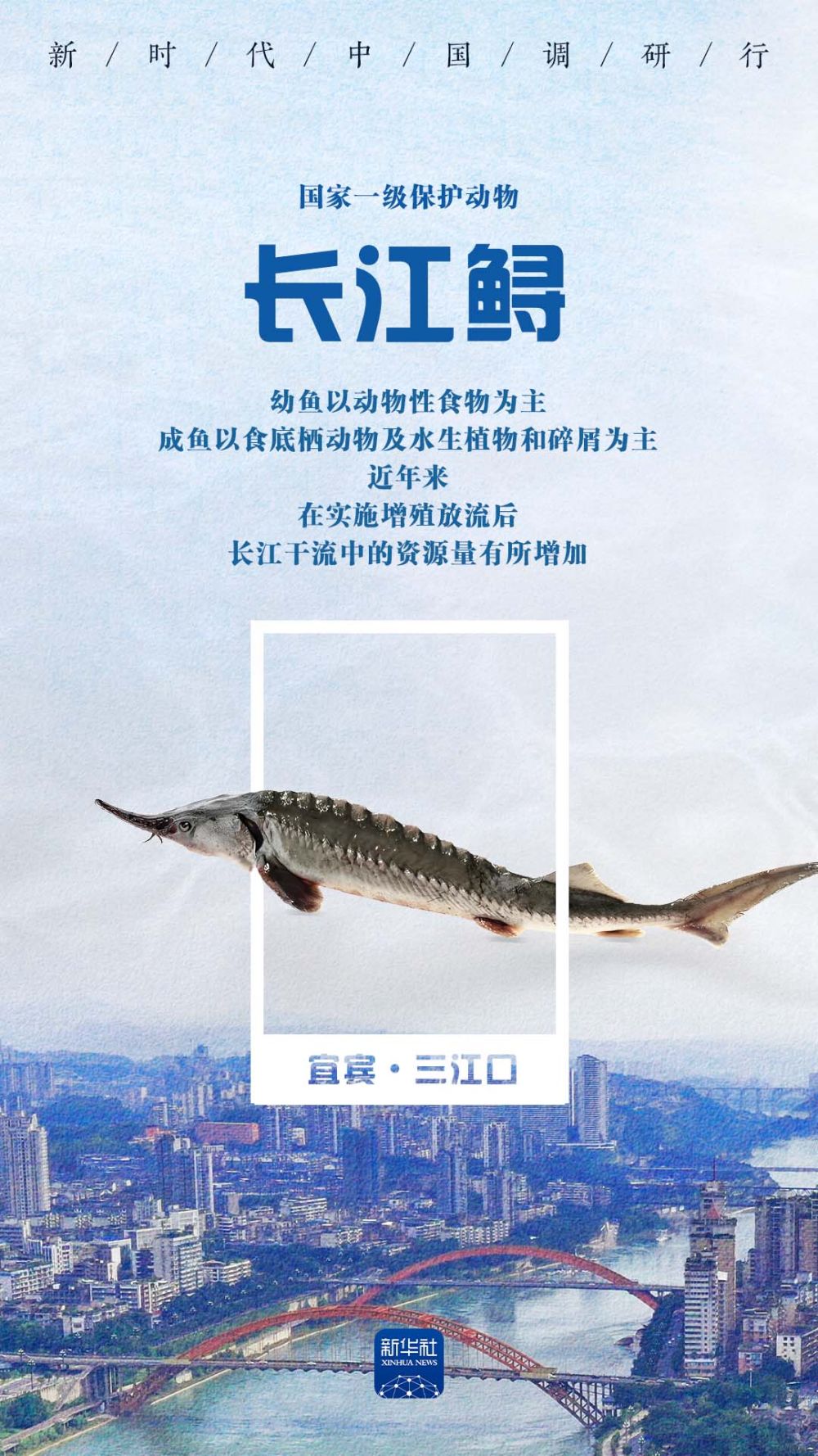 
广州儿童医院黄牛代挂号电话票贩子号贩子网上预约挂号,住院检查加快,新时代中国调研行之看区域·西部篇｜唤鱼观鸟 在三江口畅享生态之美