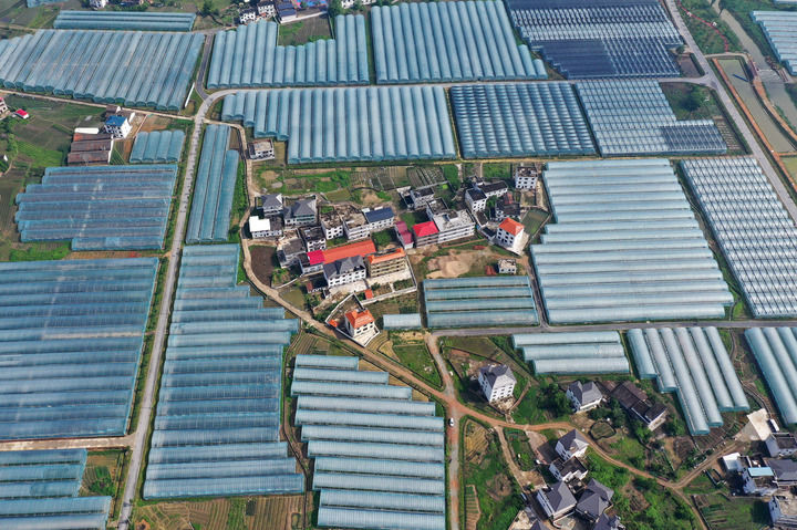 
北京积水潭医院黄牛代挂号电话票贩子号贩子网上预约挂号,住院检查加快,铭记峥嵘九十载 继往开来再出发——回访中央红军长征出发地