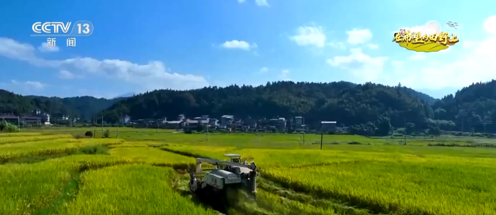 
杭州各大医院黄牛代挂号电话票贩子号贩子网上预约挂号,住院检查加快,田间稻谷黄 小麦播种忙 “柚”迎丰收季 希望的田野好“丰”光
