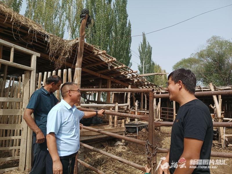 
北京阜外医院黄牛代挂号电话票贩子号贩子网上预约挂号,住院检查加快,石榴花开别样红丨“我们共饮一渠水，就应互帮互助”