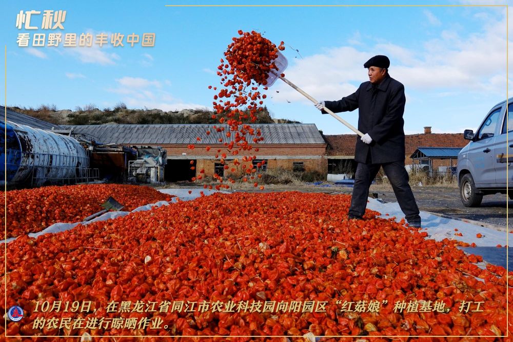 
上海儿童医学中心黄牛代挂号电话票贩子号贩子网上预约挂号,住院检查加快,赏秋图鉴，解锁秋天的N种打开方式！