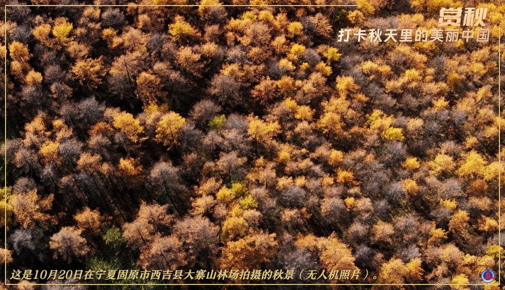 
上海儿童医学中心黄牛代挂号电话票贩子号贩子网上预约挂号,住院检查加快,赏秋图鉴，解锁秋天的N种打开方式！