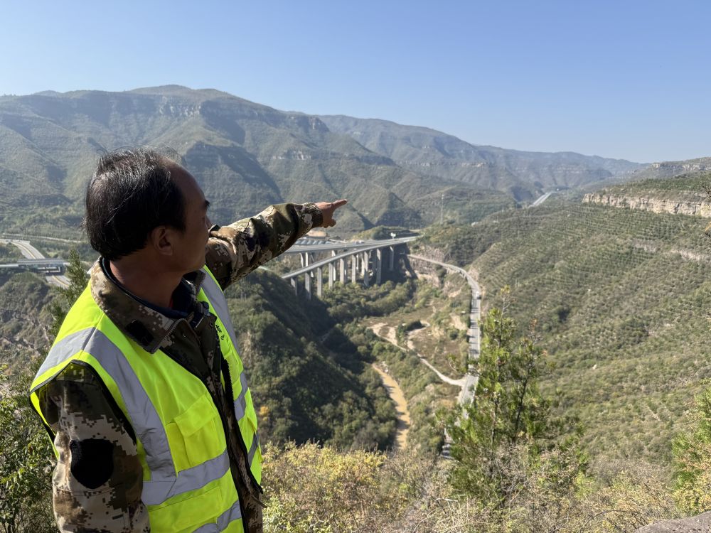 
南京中科研究所黄牛代挂号电话票贩子号贩子网上预约挂号,住院检查加快,黄河岸边的“悬崖造林队”：誓把黄土变绿地