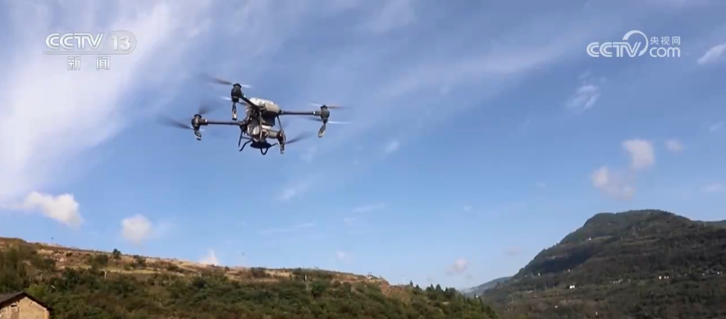 
上海各大医院黄牛代挂号电话票贩子号贩子网上预约挂号,住院检查加快,果实累累“丰”光好 科技走进田间地头 为农业发展注入新动能