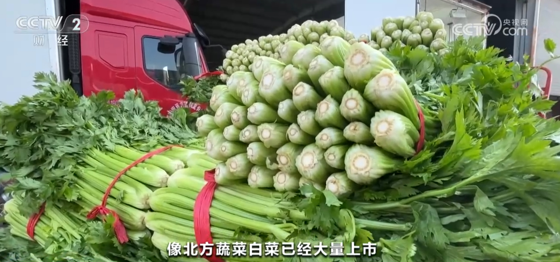 
浙江大学儿童医院黄牛代挂号电话票贩子号贩子网上预约挂号,住院检查加快,秋季蔬菜大量上市供应充足 居民“菜篮子”价格逐步趋稳回落