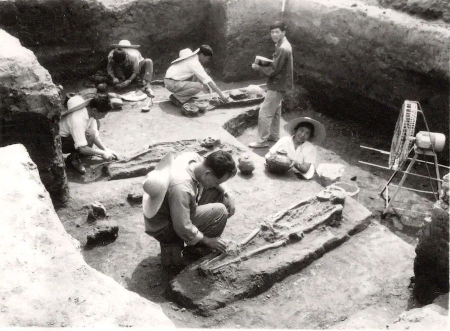 
博爱医院黄牛代挂号电话票贩子号贩子网上预约挂号,住院检查加快,文化中国行·长江之歌｜走近上海历史源头：崧泽遗址