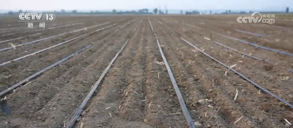 
上海各大医院黄牛代挂号电话票贩子号贩子网上预约挂号,住院检查加快,果实累累“丰”光好 科技走进田间地头 为农业发展注入新动能