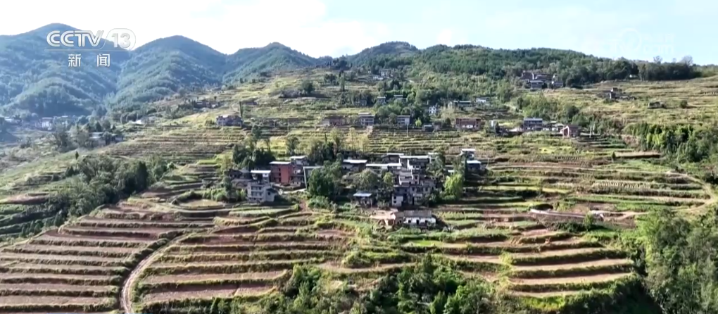 
上海各大医院黄牛代挂号电话票贩子号贩子网上预约挂号,住院检查加快,果实累累“丰”光好 科技走进田间地头 为农业发展注入新动能