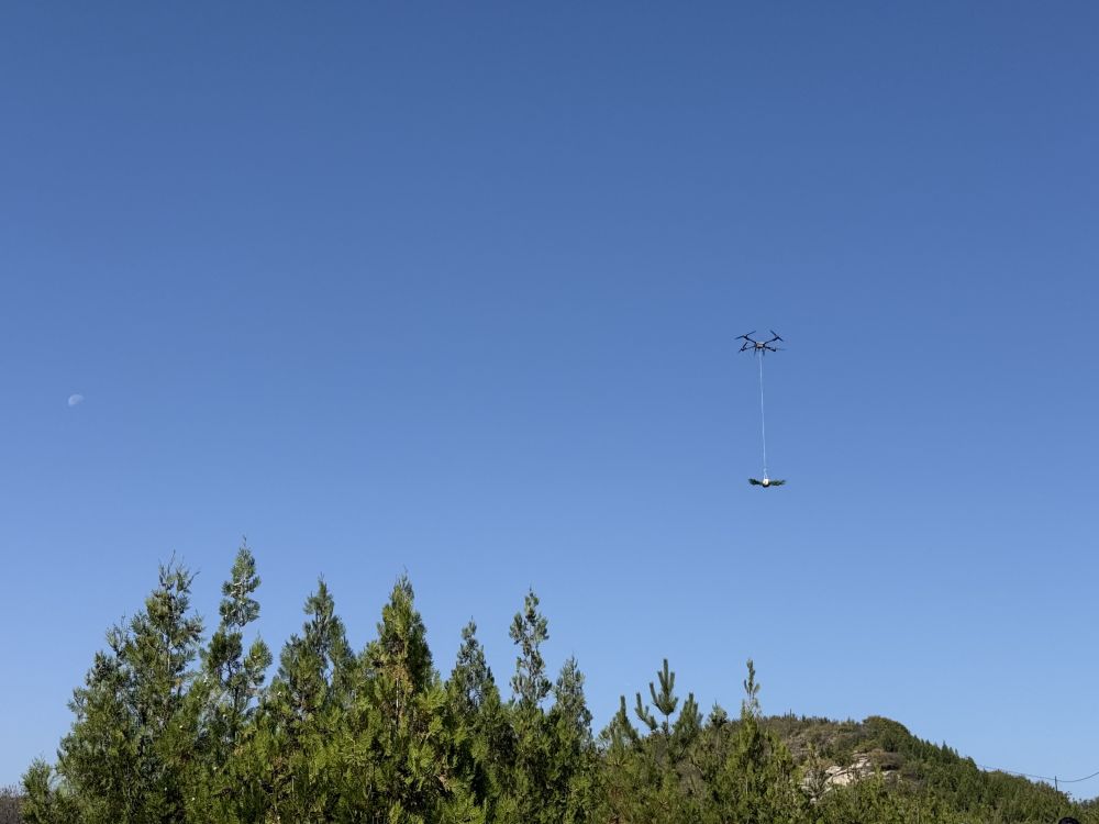 
南京中科研究所黄牛代挂号电话票贩子号贩子网上预约挂号,住院检查加快,黄河岸边的“悬崖造林队”：誓把黄土变绿地