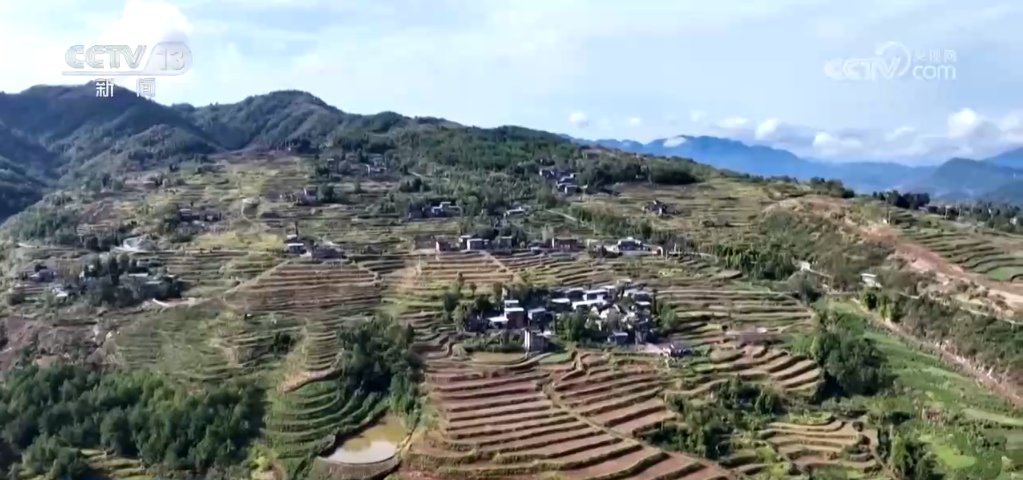 
上海各大医院黄牛代挂号电话票贩子号贩子网上预约挂号,住院检查加快,果实累累“丰”光好 科技走进田间地头 为农业发展注入新动能