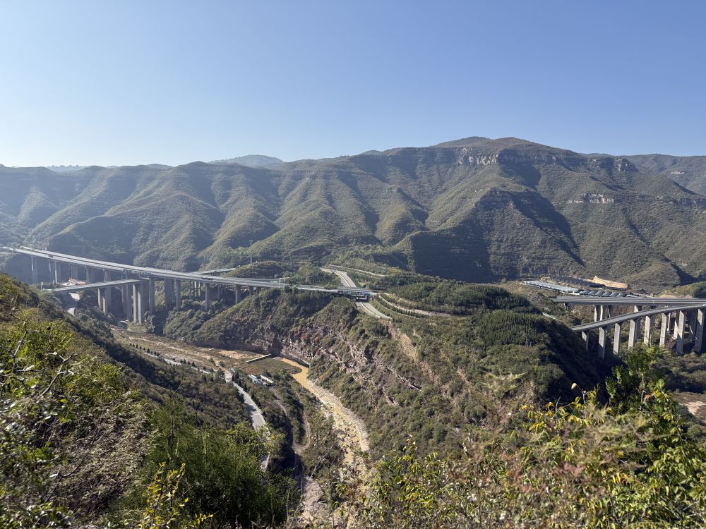
南京中科研究所黄牛代挂号电话票贩子号贩子网上预约挂号,住院检查加快,黄河岸边的“悬崖造林队”：誓把黄土变绿地