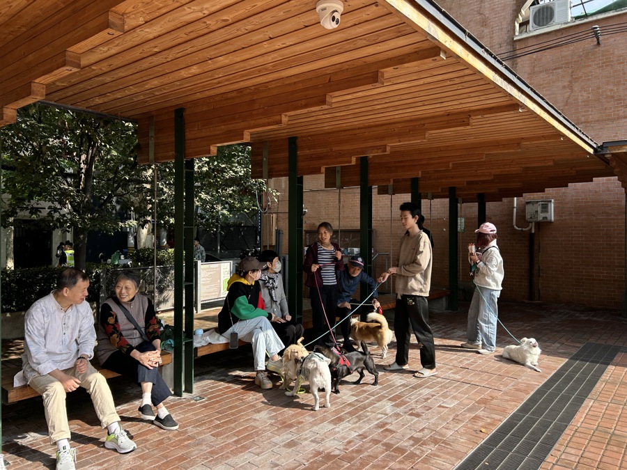 
广州各大医院黄牛代挂号电话票贩子号贩子网上预约挂号,住院检查加快,幸福感爆棚！上海社区里出现许多“圈”，理想生活的一切都能在其中找到