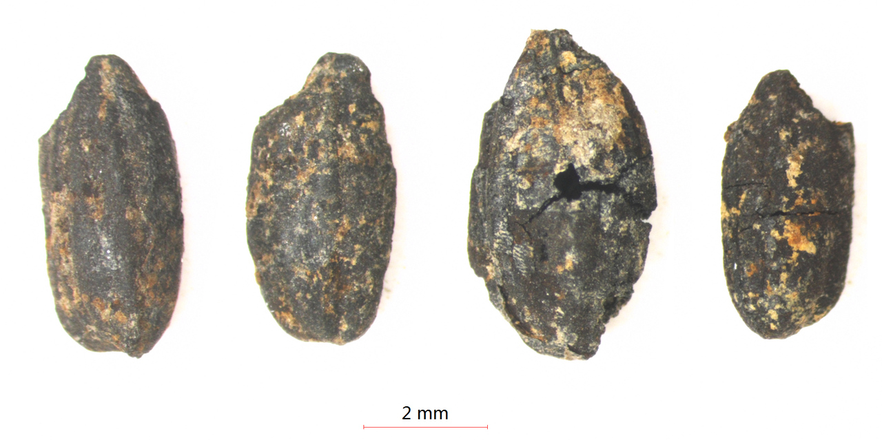 
南京儿童医院黄牛代挂号电话票贩子号贩子网上预约挂号,住院检查加快,文化中国行·长江之歌丨飞越江河，太阳神鸟撒播的是稻作文明