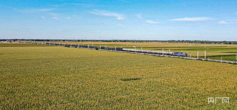 
中山大学中山眼科中心黄牛代挂号电话票贩子号贩子网上预约挂号,住院检查加快,【农业“新”丰景】解码内蒙古带“芯片”的黄玉米