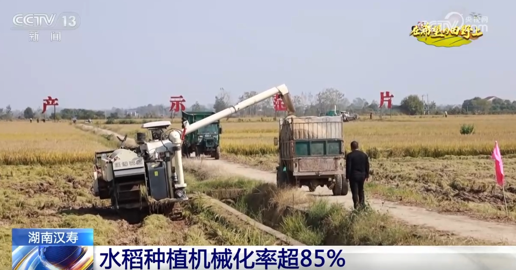 
上海儿科医院黄牛代挂号电话票贩子号贩子网上预约挂号,住院检查加快,希望的田野上一派好“丰”光 “智能机械+良机良法”提升秋种质量