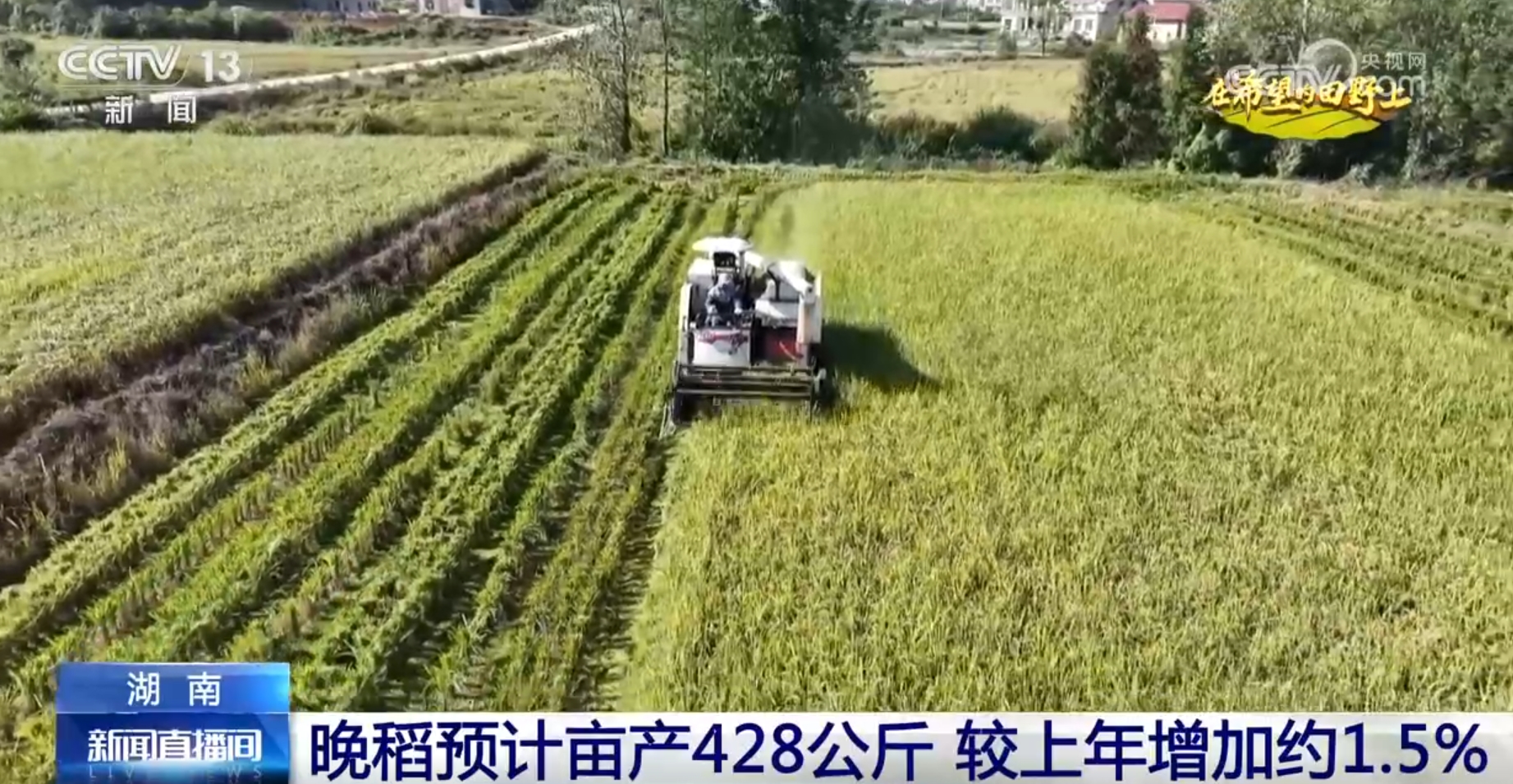 
上海儿科医院黄牛代挂号电话票贩子号贩子网上预约挂号,住院检查加快,希望的田野上一派好“丰”光 “智能机械+良机良法”提升秋种质量