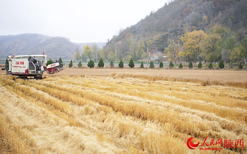 
北京302医院黄牛代挂号电话票贩子号贩子网上预约挂号,住院检查加快,从延安 再出发