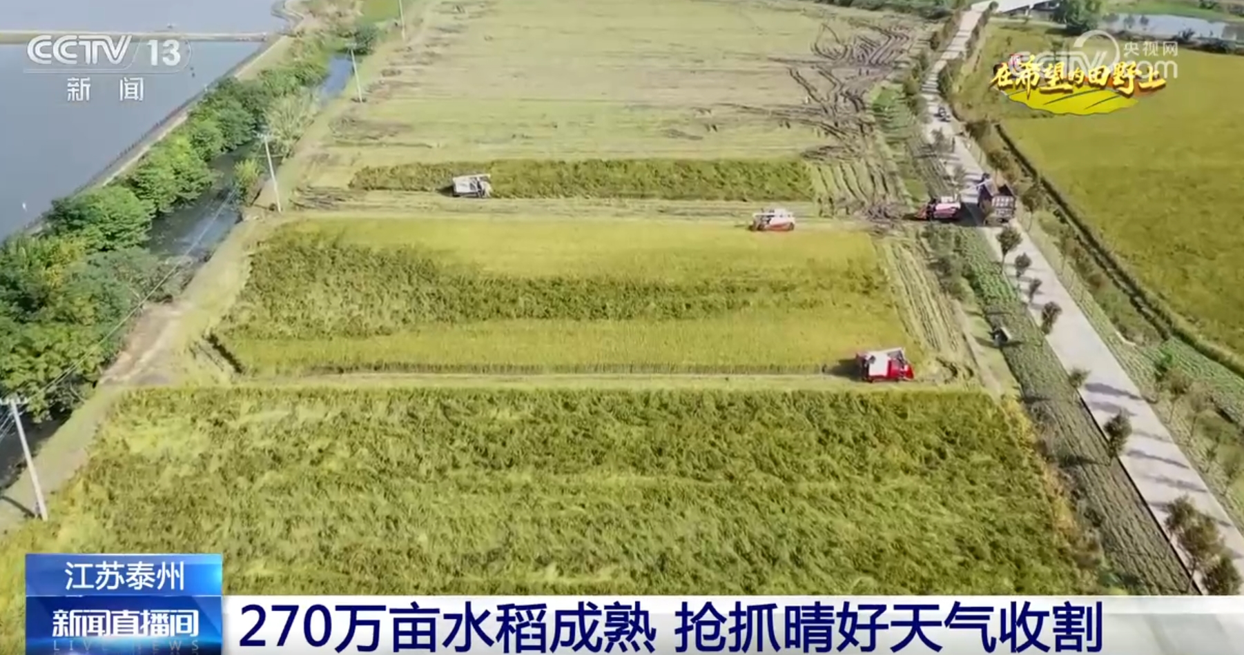 
上海儿科医院黄牛代挂号电话票贩子号贩子网上预约挂号,住院检查加快,希望的田野上一派好“丰”光 “智能机械+良机良法”提升秋种质量