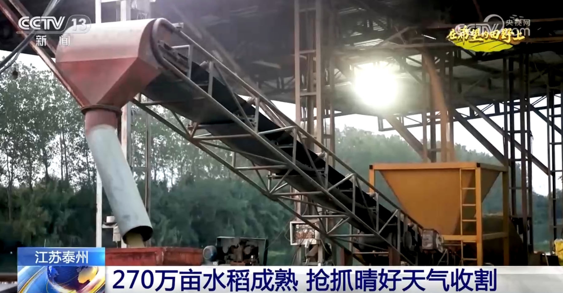 
上海儿科医院黄牛代挂号电话票贩子号贩子网上预约挂号,住院检查加快,希望的田野上一派好“丰”光 “智能机械+良机良法”提升秋种质量