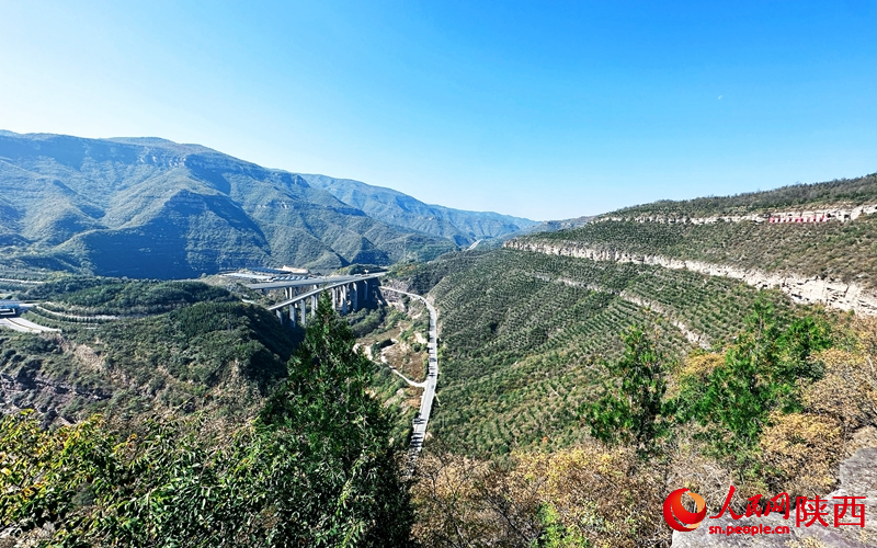 
北京302医院黄牛代挂号电话票贩子号贩子网上预约挂号,住院检查加快,从延安 再出发