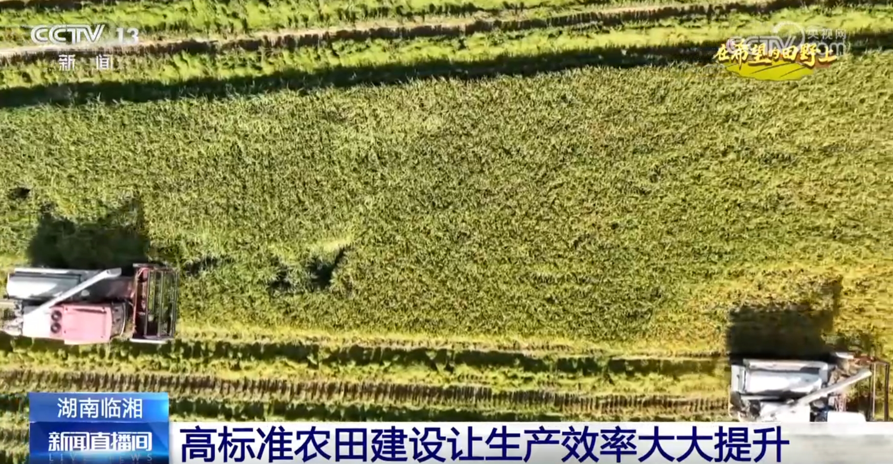 
上海儿科医院黄牛代挂号电话票贩子号贩子网上预约挂号,住院检查加快,希望的田野上一派好“丰”光 “智能机械+良机良法”提升秋种质量