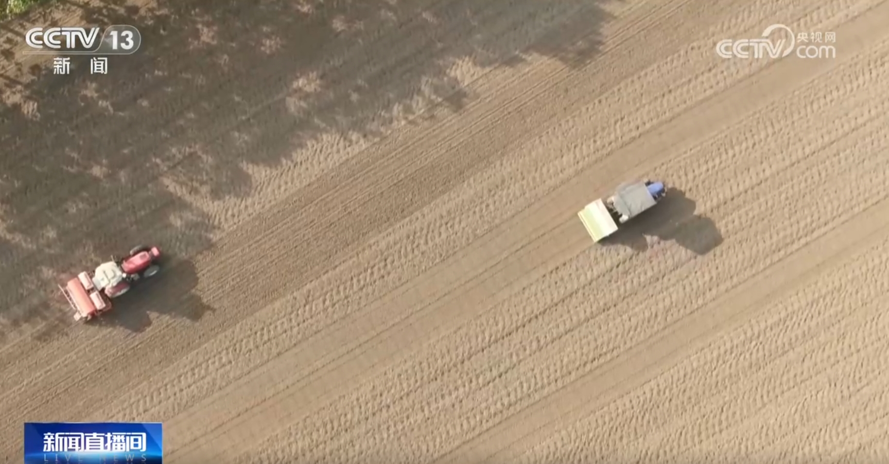 
上海儿科医院黄牛代挂号电话票贩子号贩子网上预约挂号,住院检查加快,希望的田野上一派好“丰”光 “智能机械+良机良法”提升秋种质量