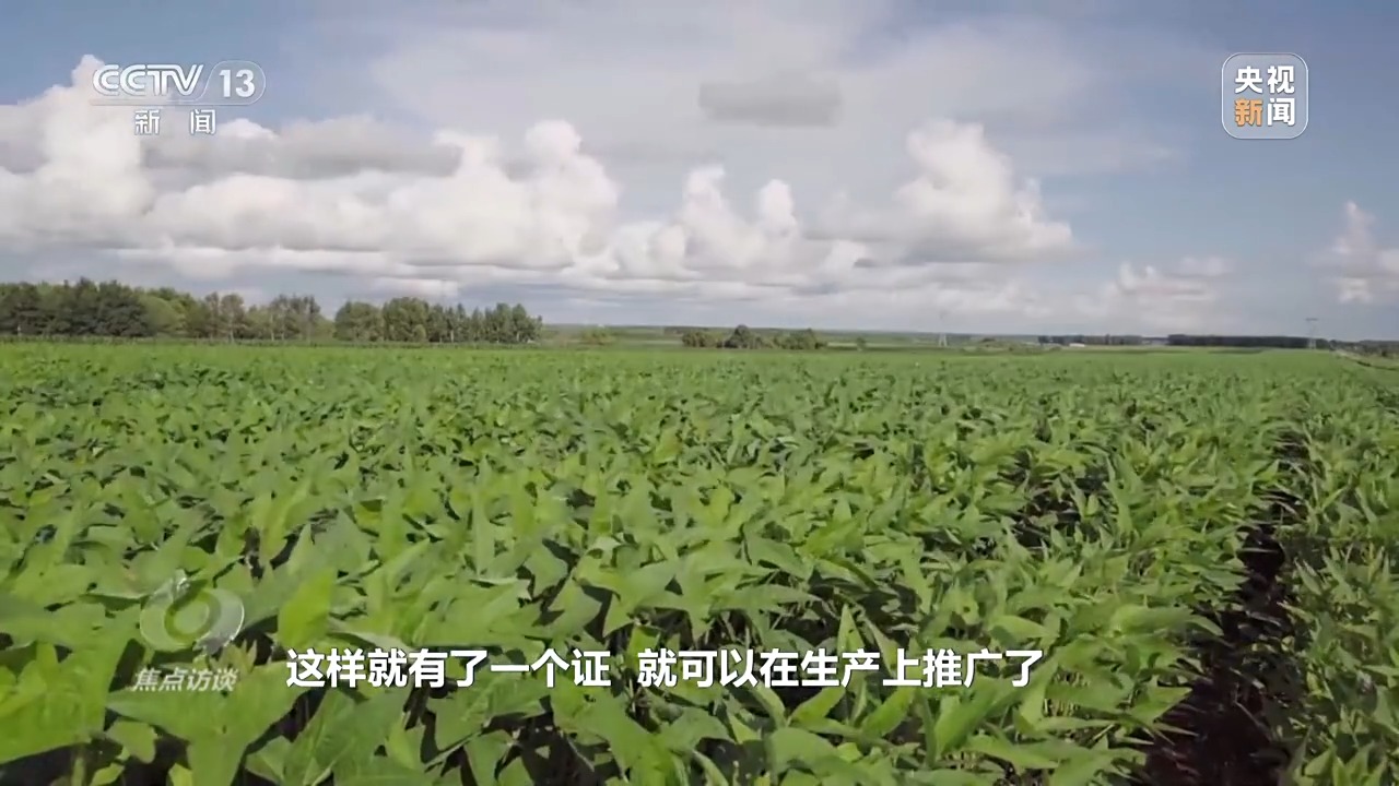 
上海仁济医院黄牛代挂号电话票贩子号贩子网上预约挂号,住院检查加快,焦点访谈丨粮食产能如何再增千亿斤？中国有“粮”方