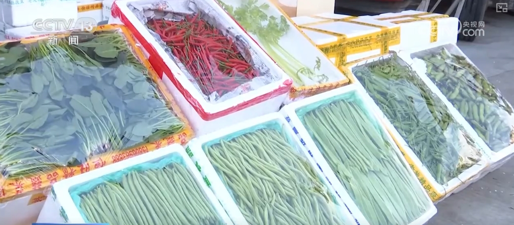 
浙江省中医院黄牛代挂号电话票贩子号贩子网上预约挂号,住院检查加快,各地秋季蔬菜进入上市高峰期 冬储“菜篮子”一元菜成主流