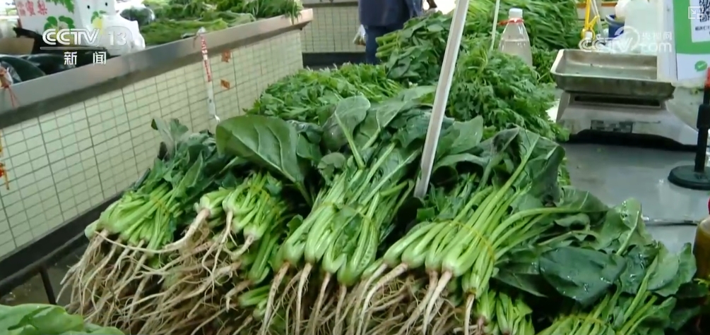 
浙江省中医院黄牛代挂号电话票贩子号贩子网上预约挂号,住院检查加快,各地秋季蔬菜进入上市高峰期 冬储“菜篮子”一元菜成主流